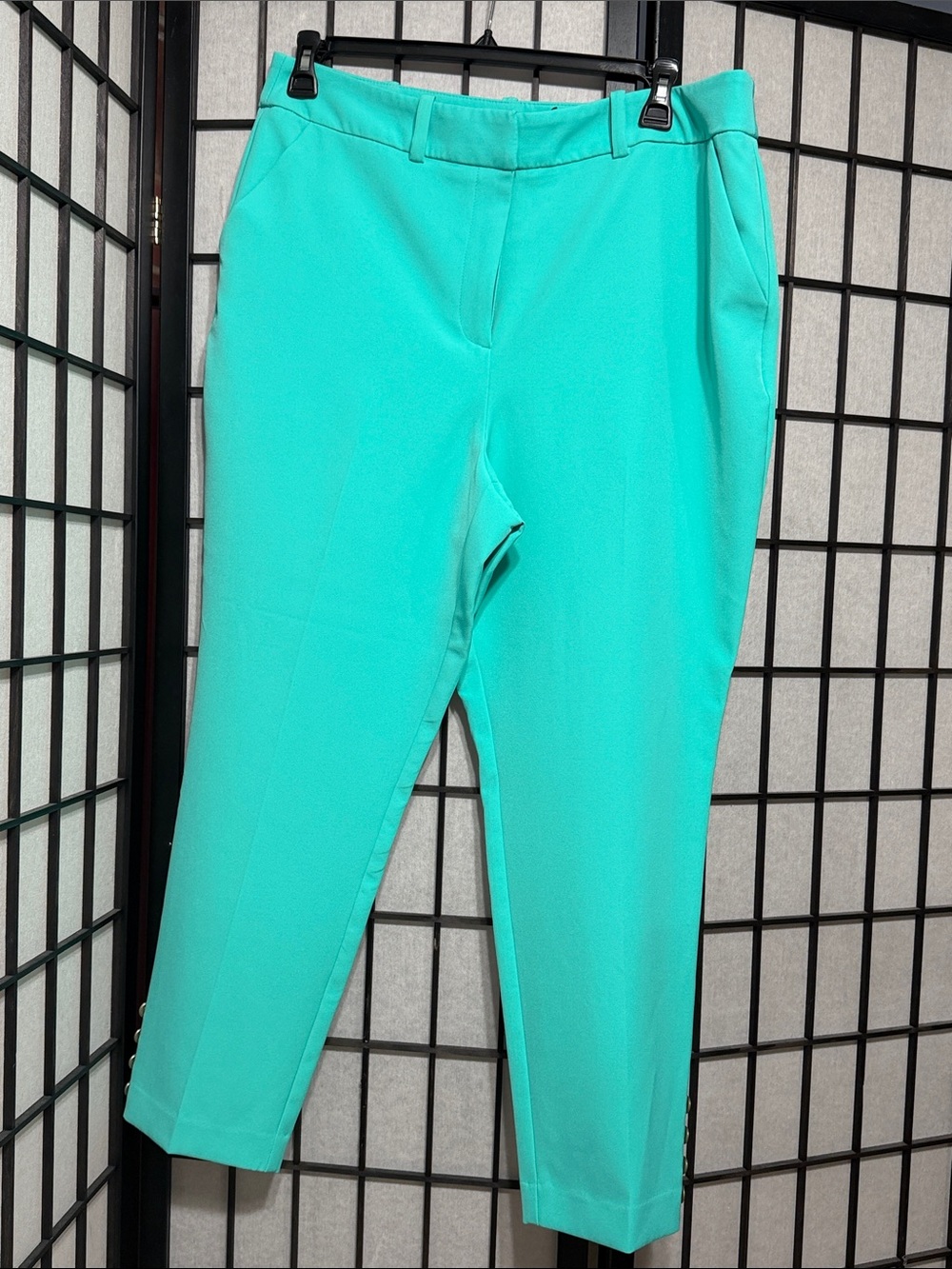 New York & Company Turquoise Slim Ankle Pants